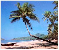 Beaches, Goa Rajasthan Tourism