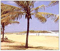 Kovalam Rajasthan Tourism